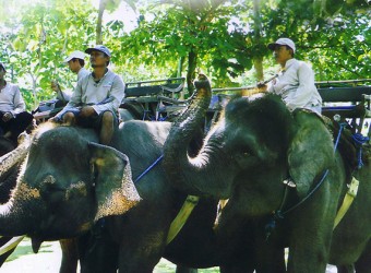 bali elephant village