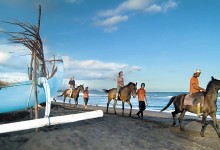 Horse Riding in the Eastern Saba Beach