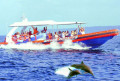 hi-cruise-oceanrafting