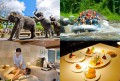 elephant park full day tour