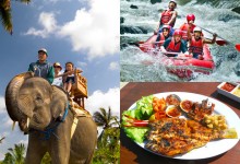 Elephant Safari + Rafting + Dinner Tour