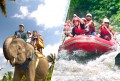 elephant ride + rafting